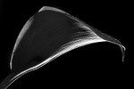 170627-untitled0015-4892-4893
