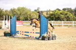 SBM_006201