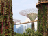 Supertrees and Skyway, Gardens by the Bay, Singapore