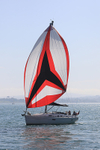 190825 PELOGISA - OCEANIS 361 1Y3A2436