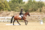 SBM_002500