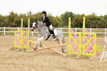 SBM_007491