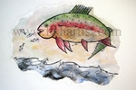 Taupo Trout Chasing Smelt Watercolour.