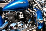 Skull in Bike