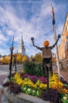 Pumpkin Man
