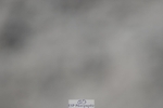 250621-163216-11150