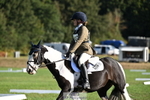Dressage 8.30 - 9.30am portfolio