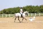 SBM_008542