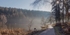 Winter Mist at Mallards Pike