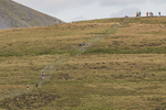 Uphill Only-350