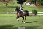 500-HARLYN.CONNOR-Kerryann.Dunstan-TrotUp+SJ portfolio