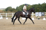 SBM_008580