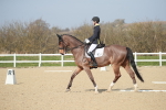 SBM_008341
