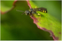 5D3_4651_web