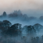Finding Their Way Home, Glen of Imaal, Co Wicklow