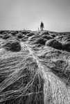 IMR_5134 bw v2