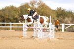 SBM_003972