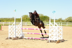 SBM_000887