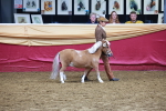 SBM_15980