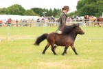 SBM_04469