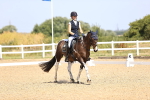 SBM_009404