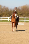 SBM_003441