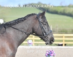 BPP_8567