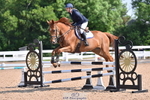 Cls 8 British Novice & 90cm Open portfolio