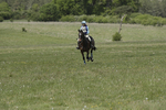 BVHT 140517  IXC -562