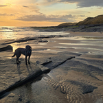 Sunrise at Bamburgh beach
