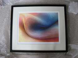 Not the Royal Academy Summer Exhibition portfolio