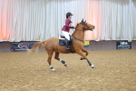 SBM_001907