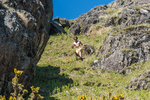 Coniston Senior-11