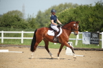 SBM_008024