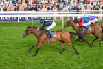 Race 7 5.20pm British EBF Fillies' Handicap portfolio