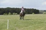 BVHT 140517  NXC -495