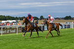 160724-Race 5-Believitanducan-9249