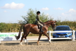 SBM_02204