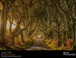 Better Photography Magzine Photo of the Year_2019_Bronze Award_ Nature
