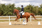 SBM_006236
