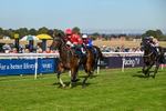 220926-Race 5-Go Victor-4369