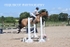 BPP_1071