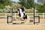 SBM_007688