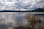 Lake of Menteith - 8041
