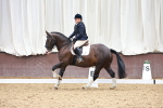 SBM_000499