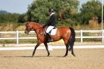 SBM_008358