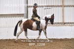 BPP_1208