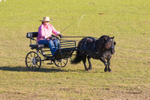 Harness Driving Challenge 12. 0A3A9689