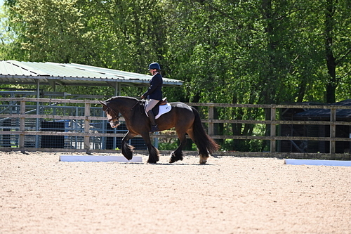 WJ6_0668
