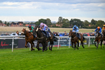 160926-Race 7-Star Suepreme-1851